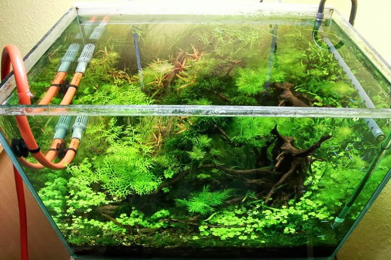 lh6.googleusercontent.com/-Qd6SYUVkY4k/UixEd2m-_bI/AAAAAAAABbI/icMnFbjw2AI/s800/110la.jpg