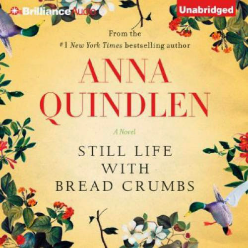 Download Pdf Still Life With Bread Crumbs A Novel