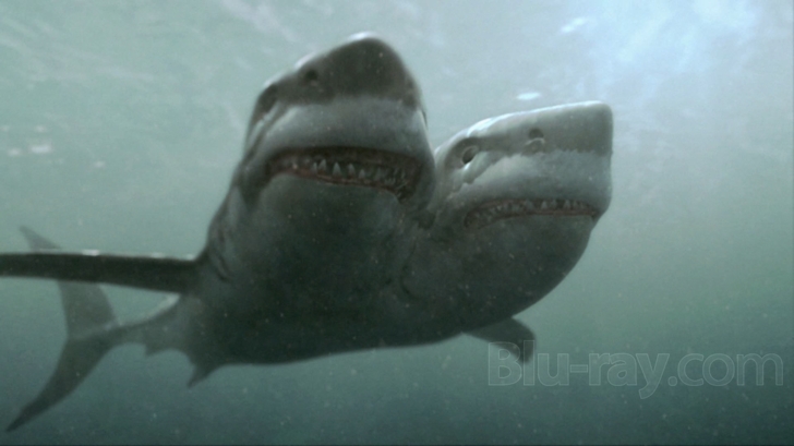 [3GP] 2 Headed Shark Attack - Cá Mập 2 Đầu 2012 [Vietsub]