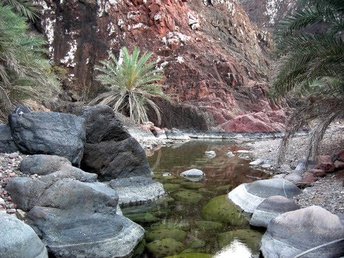 جزيرة سقطرى اليمنية 12