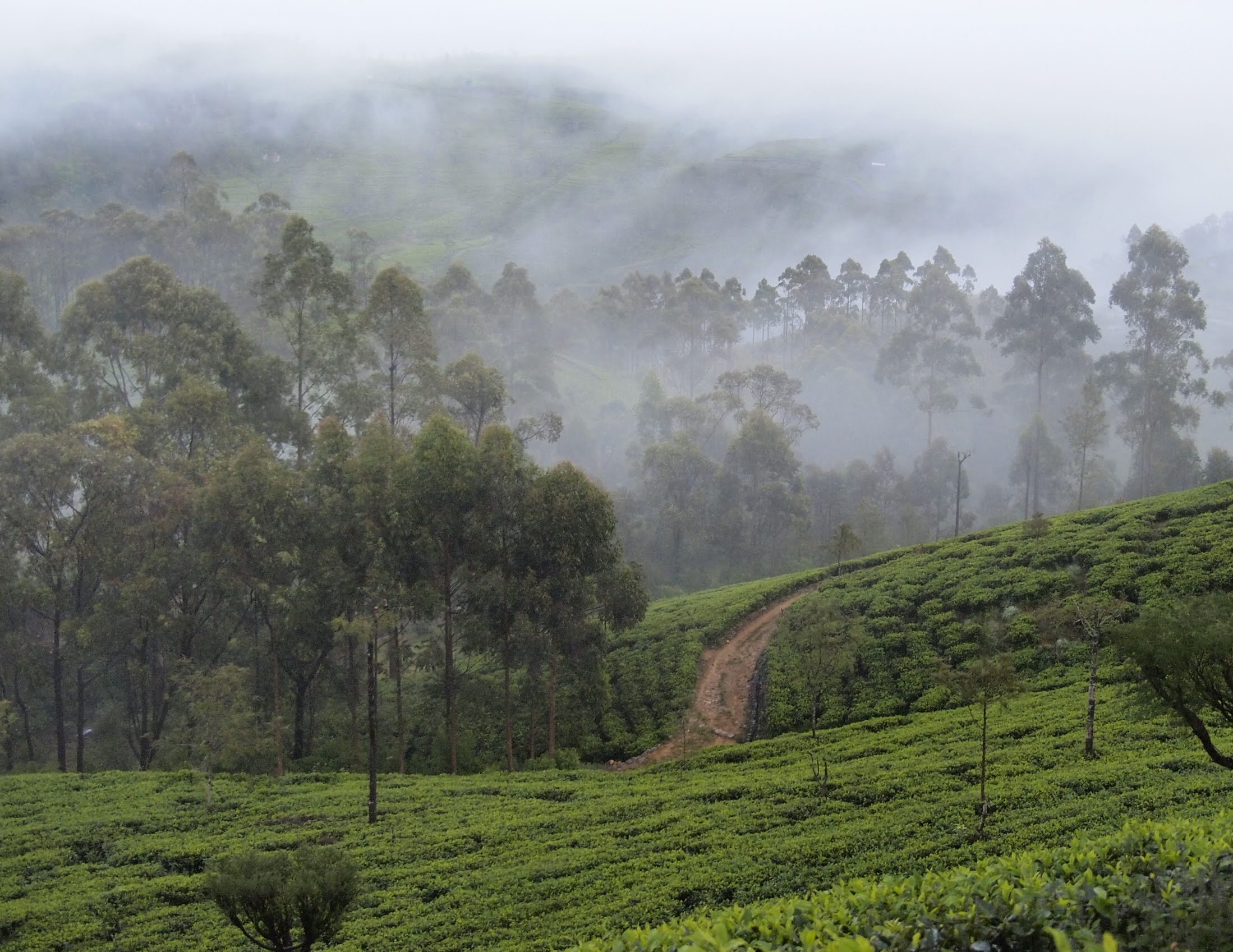 Lipton's Seat in Haputale