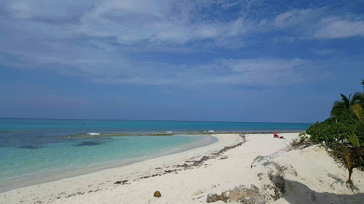 Love Beach