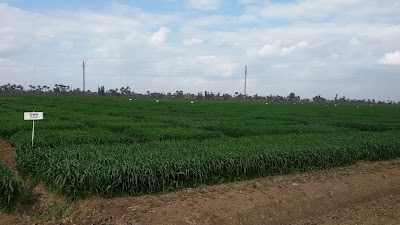 Photos of انتاج حيوانى المزرعه