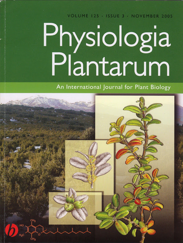 Ilustración de portada para la revista Physiologia Plantarum
