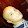 Chris Lattimore Chris Lattimore's profile photo