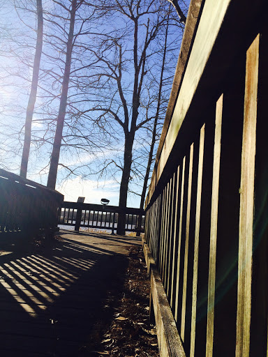 Chicot State Park