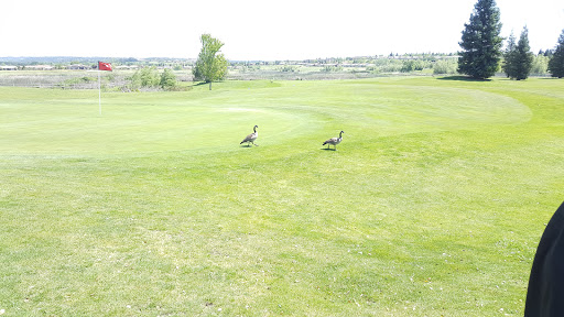 Public Golf Course «Lincoln Hills Golf Club», reviews and photos