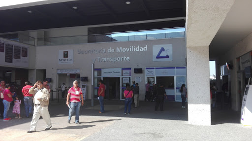 Secretaria de Movilidad y Transporte, Boulevard Paseo Cuauhnáhuac 16, Bugambilias, 62550 Jiutepec, Mor., México, Oficina de la Administración | MOR
