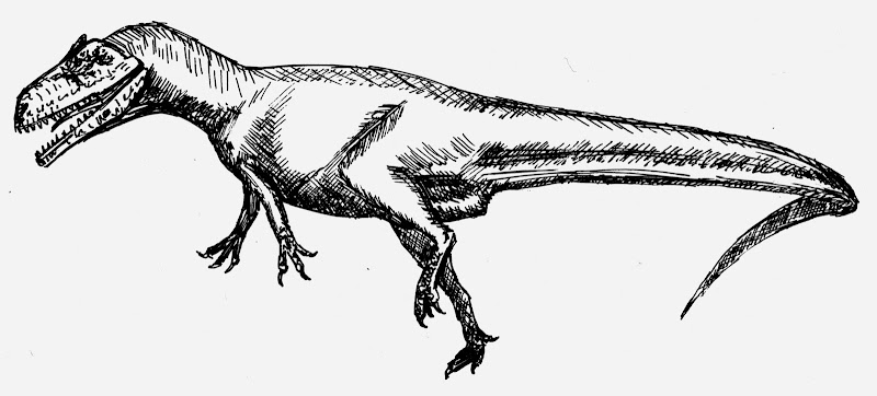Große Theropoden - Seite 3 Deltadromaeus_ingens-sp.-agilis