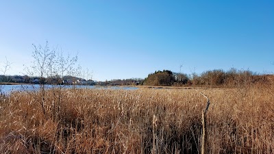 Photos of Jackson Bog State Nature Preserve