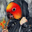 Bird-King's user avatar