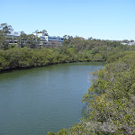 Lane Cove River (345838)