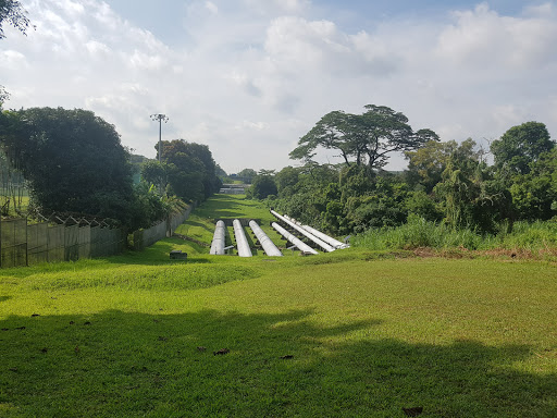 Dairy Farm Nature Park