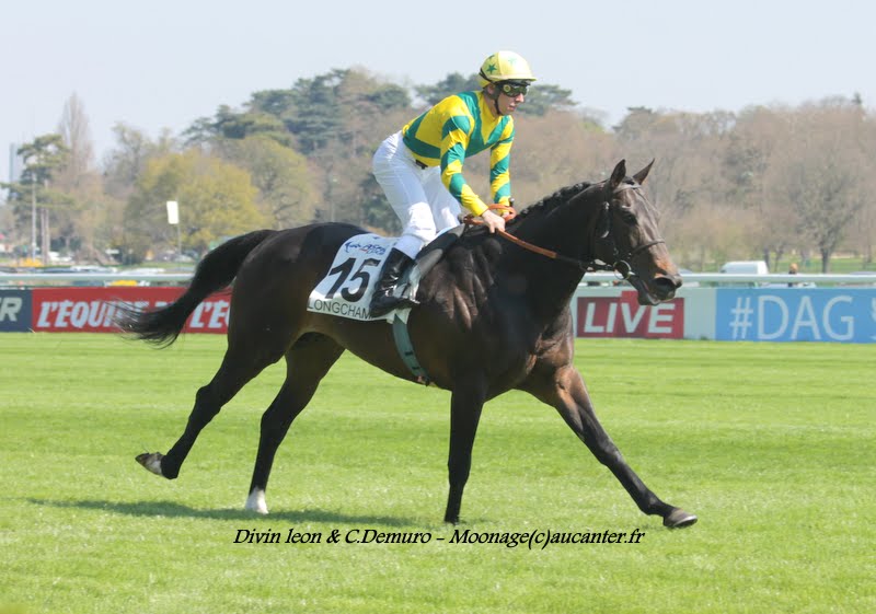 Photos Longchamp 6-04-2015 IMG_7590