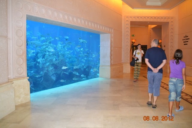 DUBAI - Blogs de Emiratos A. U. - Hotel Atlantis The Palm: un oasis en Dubai (24)