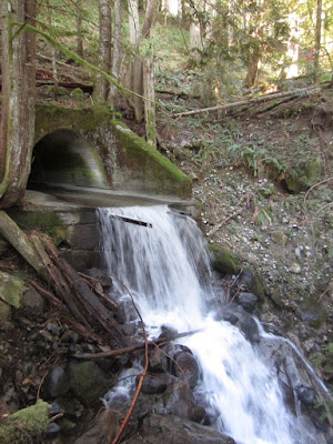 Old water tunnel under where the train tracks would have gone