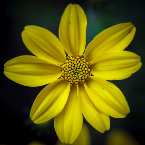 posted image