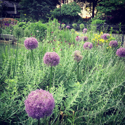 purple