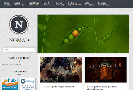 nomad En İyi WordPress Temaları 2013 (35 Adet)