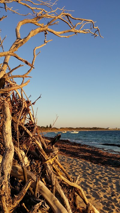 Photos of Peron Foreshore Park
