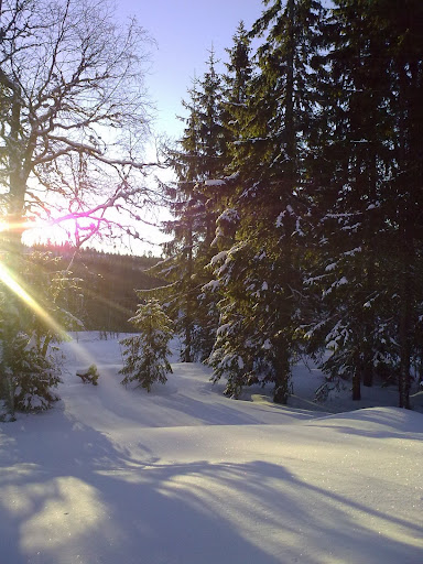 Vinter