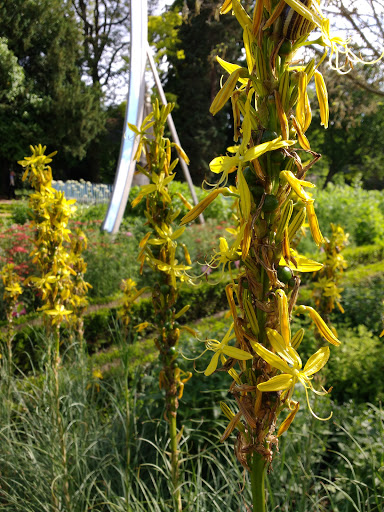 Jardin Dominique Alexandre Godron