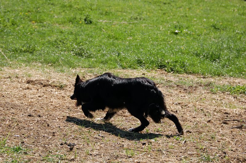 DSC_6404.JPG