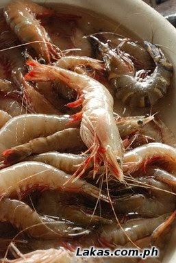 Pasayan (Shrimp) Pasayan (Shrimp)