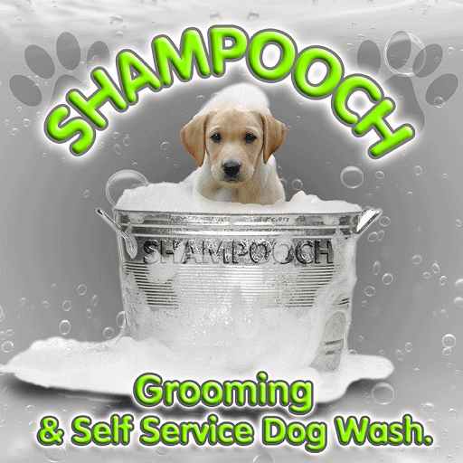Shampooch Grooming and Self Service Dog Wash logo