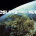 Audioslave - Revelations - Album (2006) [iTunes Plus AAC M4A]