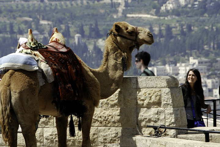 Майские каникулы в Израиле (фотоотчет, Иерусалим)