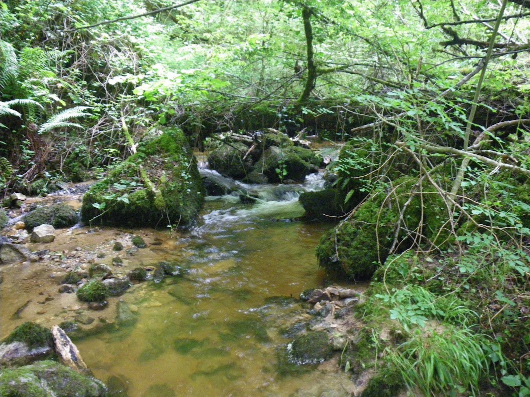 Sortie Corrèze juin 2016 IMGP6259