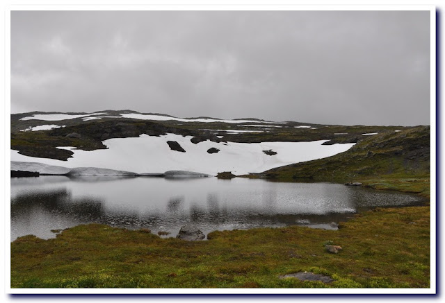 Viaje a la Noruega de los fiordos - Viaje a la Noruega de los fiordos y Copenhague. (112)