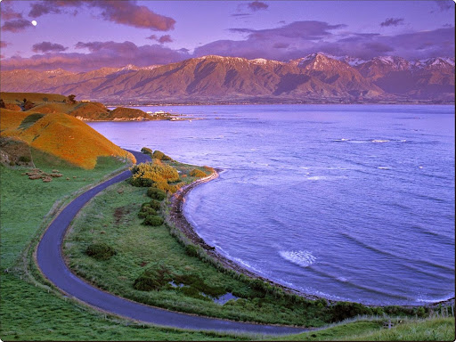 Kaikoura Peninsula, South Island, New Zealand.jpg