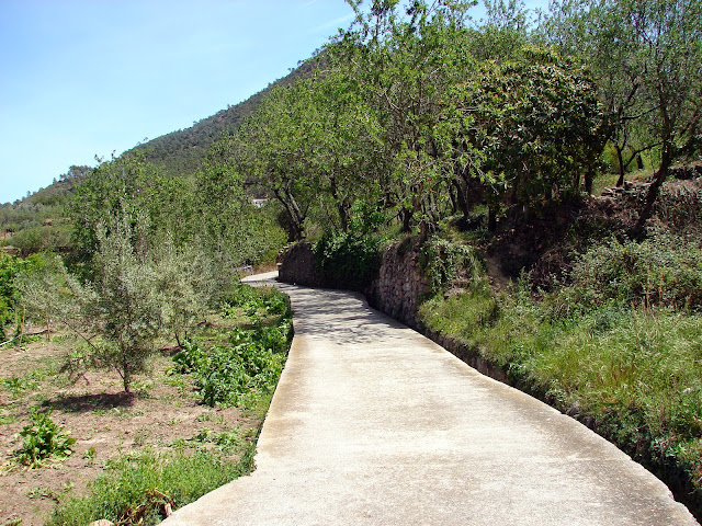 Senderismo GR-36 Alcudia de Veo - Vilavella