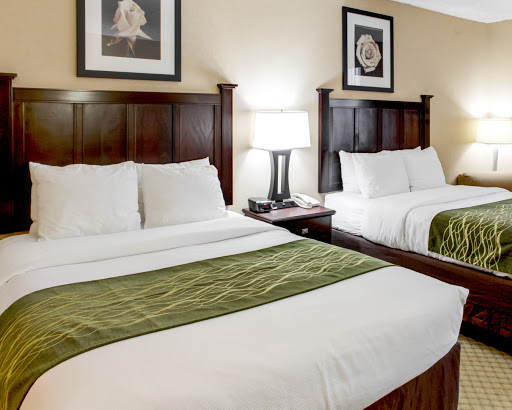 Comfort Inn & Suites