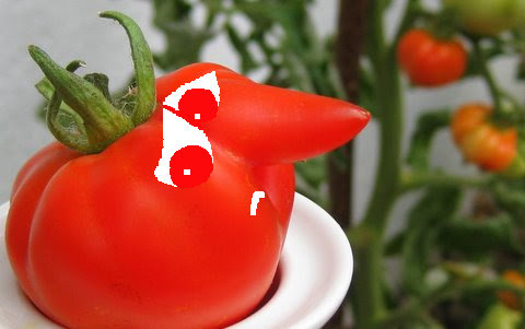 tomate1.jpg