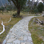 Section of stone path (296807)