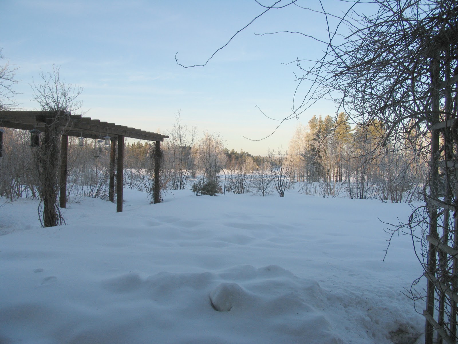 Visningsträdgården hällans trädgårdsblogg: mars 2011