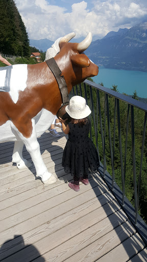 Harder Kulm
