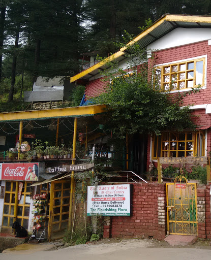 Taste of India, Dharamkot Rd, Bhagsu Nag, McLeod Ganj, Himachal Pradesh 176219, India, Restaurant, state HP