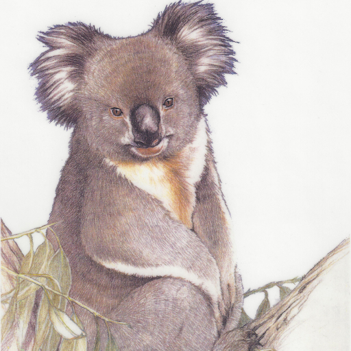 Koala Hair Company logo