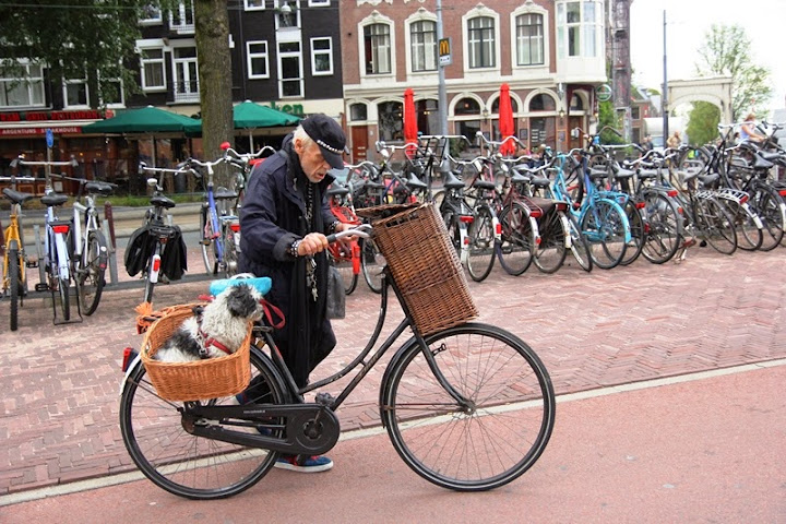 Biking in Brugge