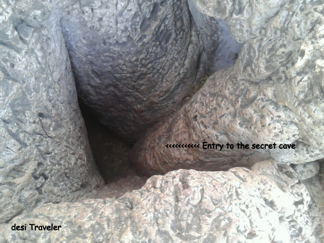 hollow inside Baobab tree Golconda 