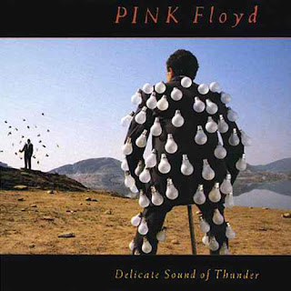 Pink Floyd - Delicate Sound of Thunder album cover