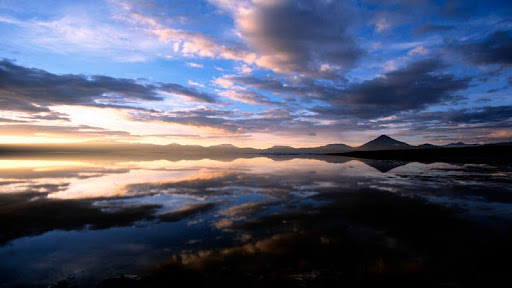 Laguna Colorada at Sunset, South Lipez, Bolivia.jpg
