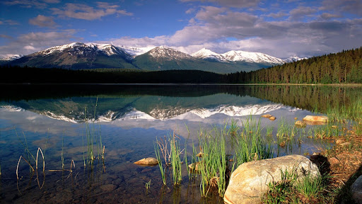 Patricia Lake, Jasper National Park, Alberta, Canada.jpg