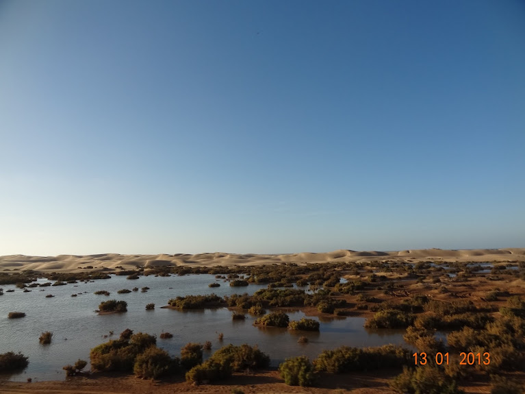 Marrocos e Mauritãnia a Queimar Pneu e Gasolina - Página 4 DSC05735