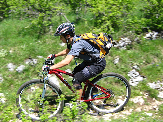 IMG_8654.JPG