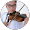Renzogan violin